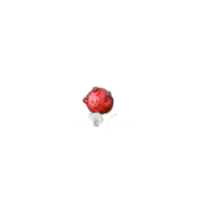 Чай зеленый Феерия вкуса
