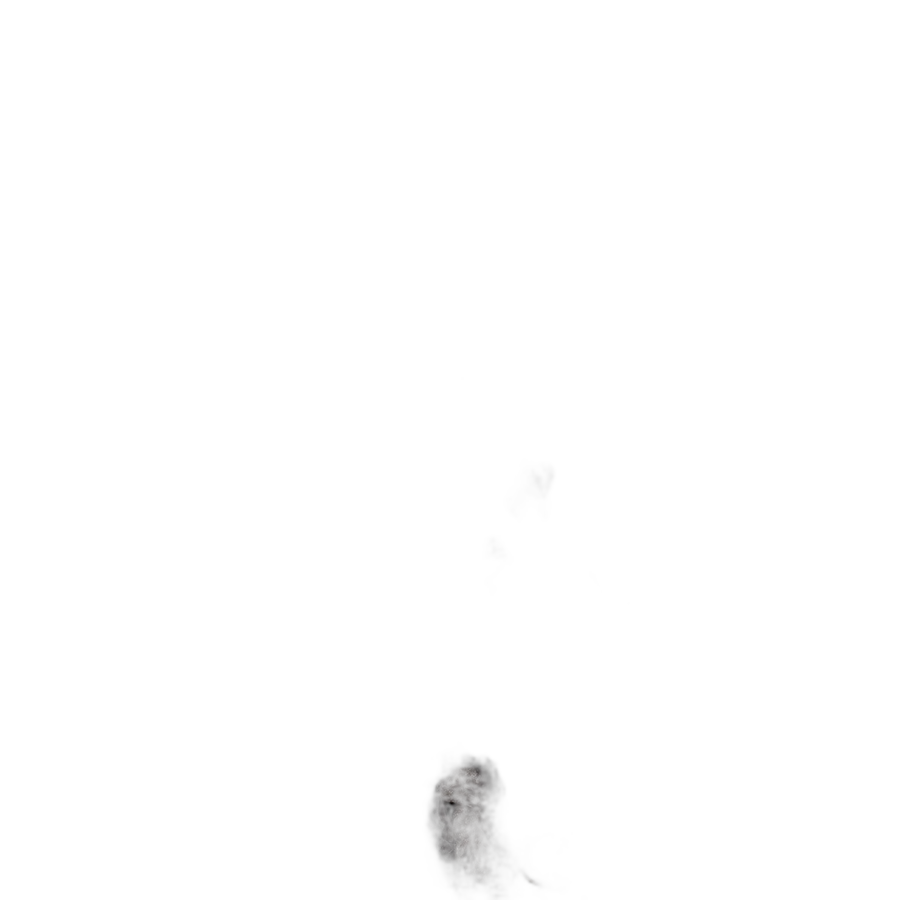 Шу Пуэр Каменный пуэр (Ча Хуа Ши)