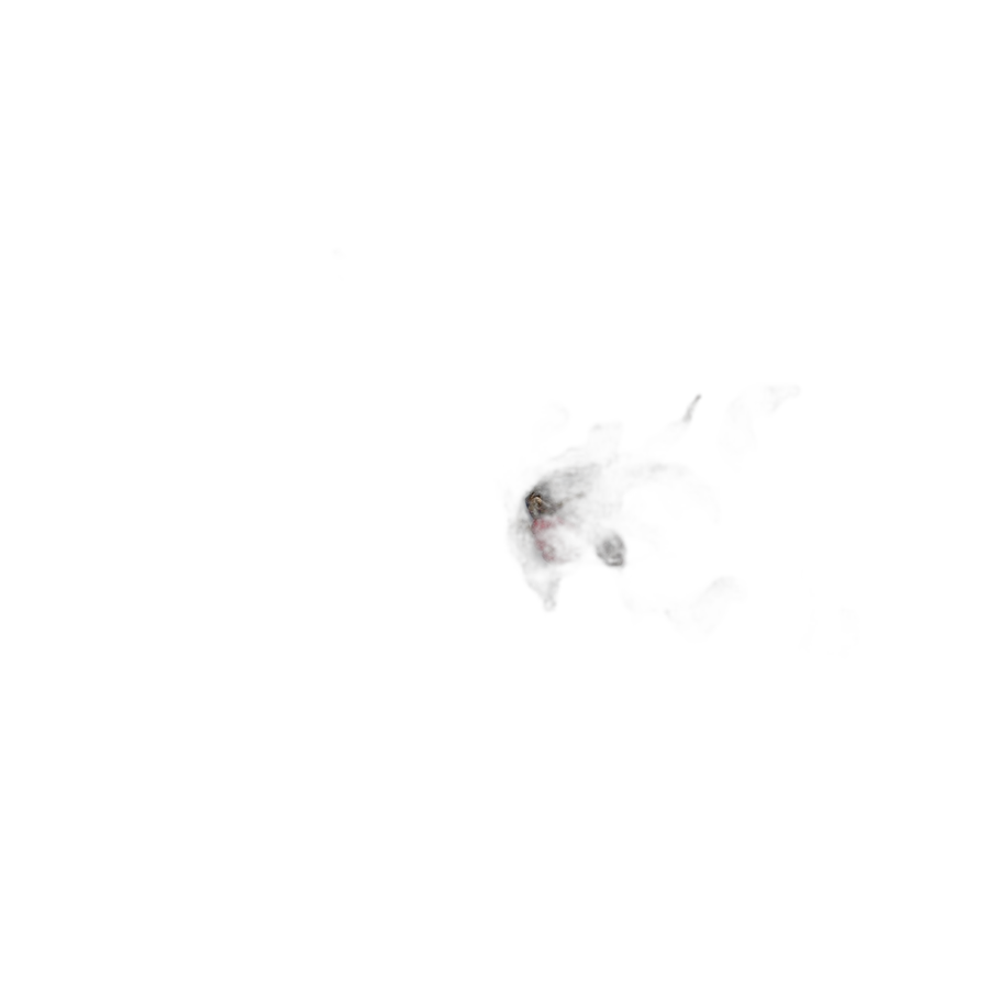 Улун Малина с травами